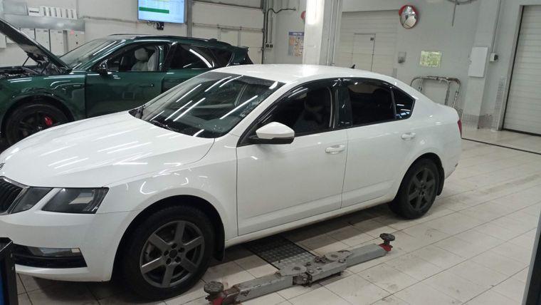 Skoda Octavia 2019 года, 248 971 км - вид 1