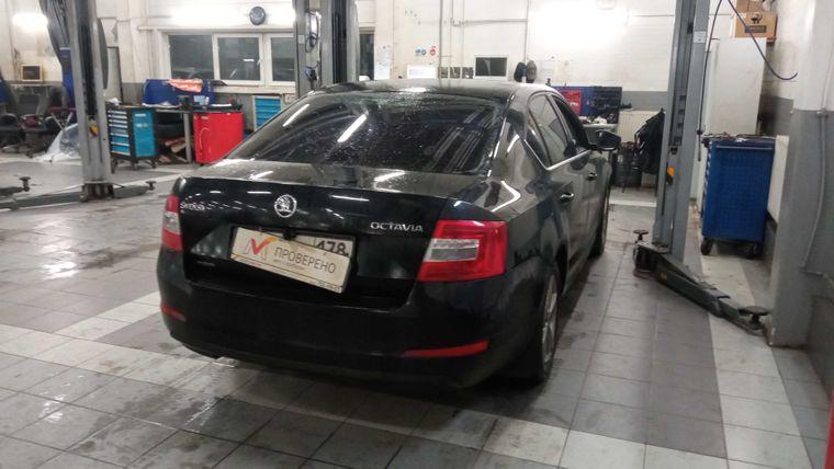 Skoda Octavia,  - вид 2