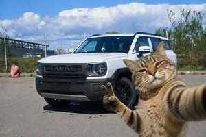 Haval H3 2026 года, 0 км - вид 1